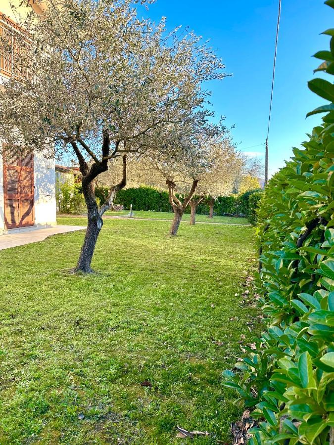 Aparthotel Abitatt Fosdinovo Exteriér fotografie