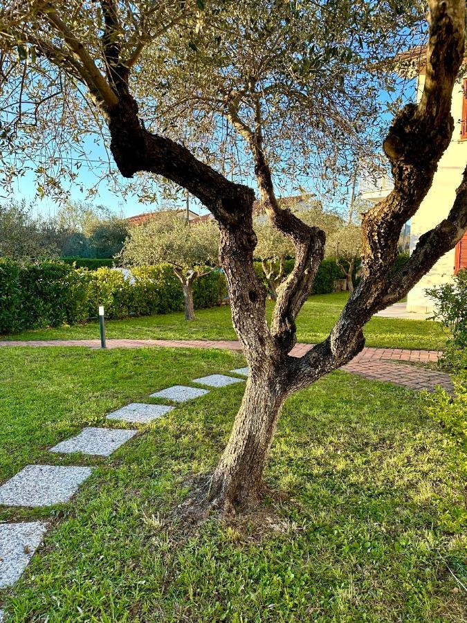 Aparthotel Abitatt Fosdinovo Exteriér fotografie