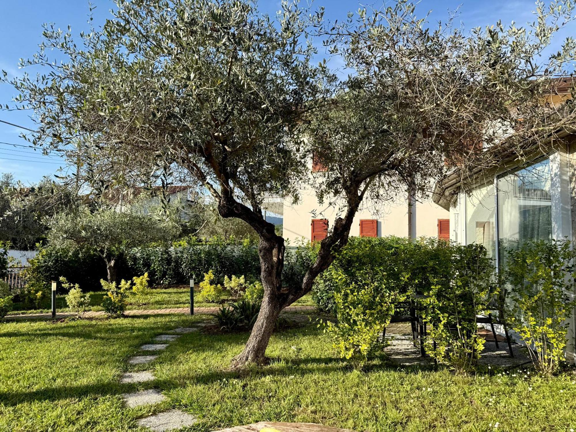 Aparthotel Abitatt Fosdinovo Exteriér fotografie